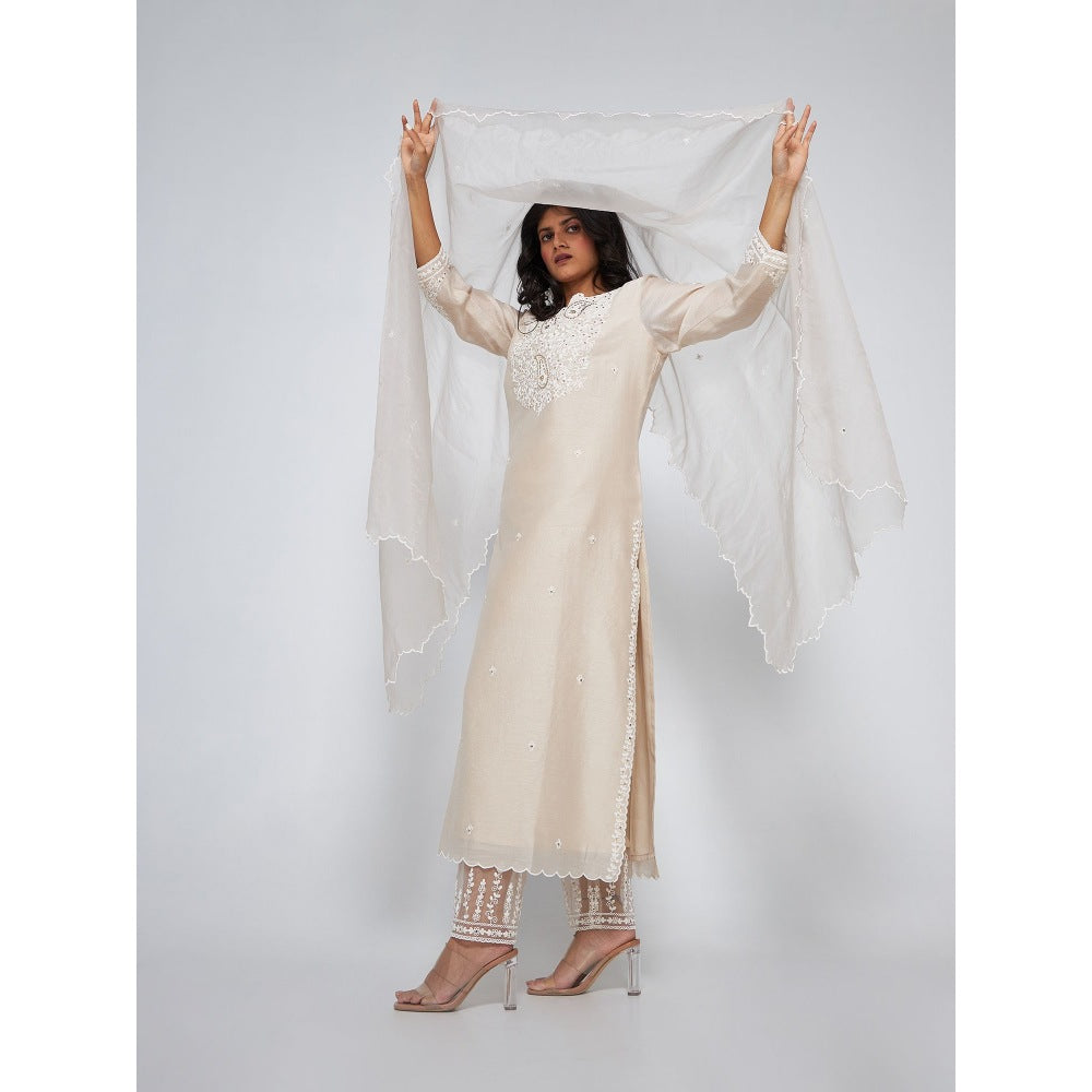 Asaga Stella Off Silver Chanderi Embroidered Kurta with Pants and Organza Dupatta (Set of 3)