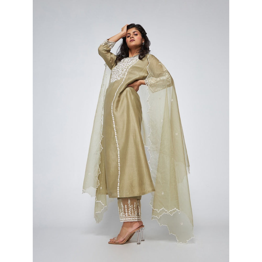 Asaga Caily Mud Chanderi Embroidered Kurta with Pants and Organza Dupatta (Set of 3)