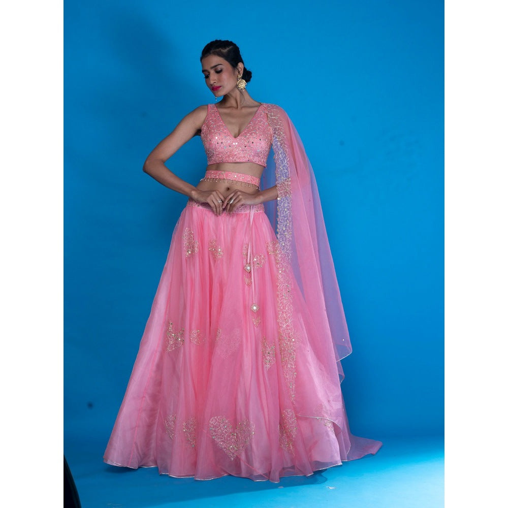 Asaga Baby Pink Embroidered Stitched Blouse- Lehenga and Dupatta with Belt (Set of 4)
