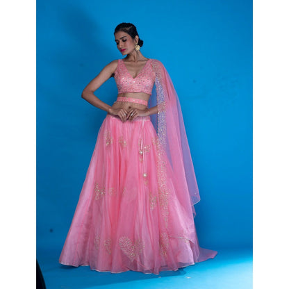 Asaga Baby Pink Embroidered Stitched Blouse- Lehenga and Dupatta with Belt (Set of 4)