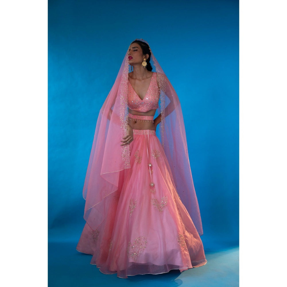 Asaga Baby Pink Embroidered Stitched Blouse- Lehenga and Dupatta with Belt (Set of 4)