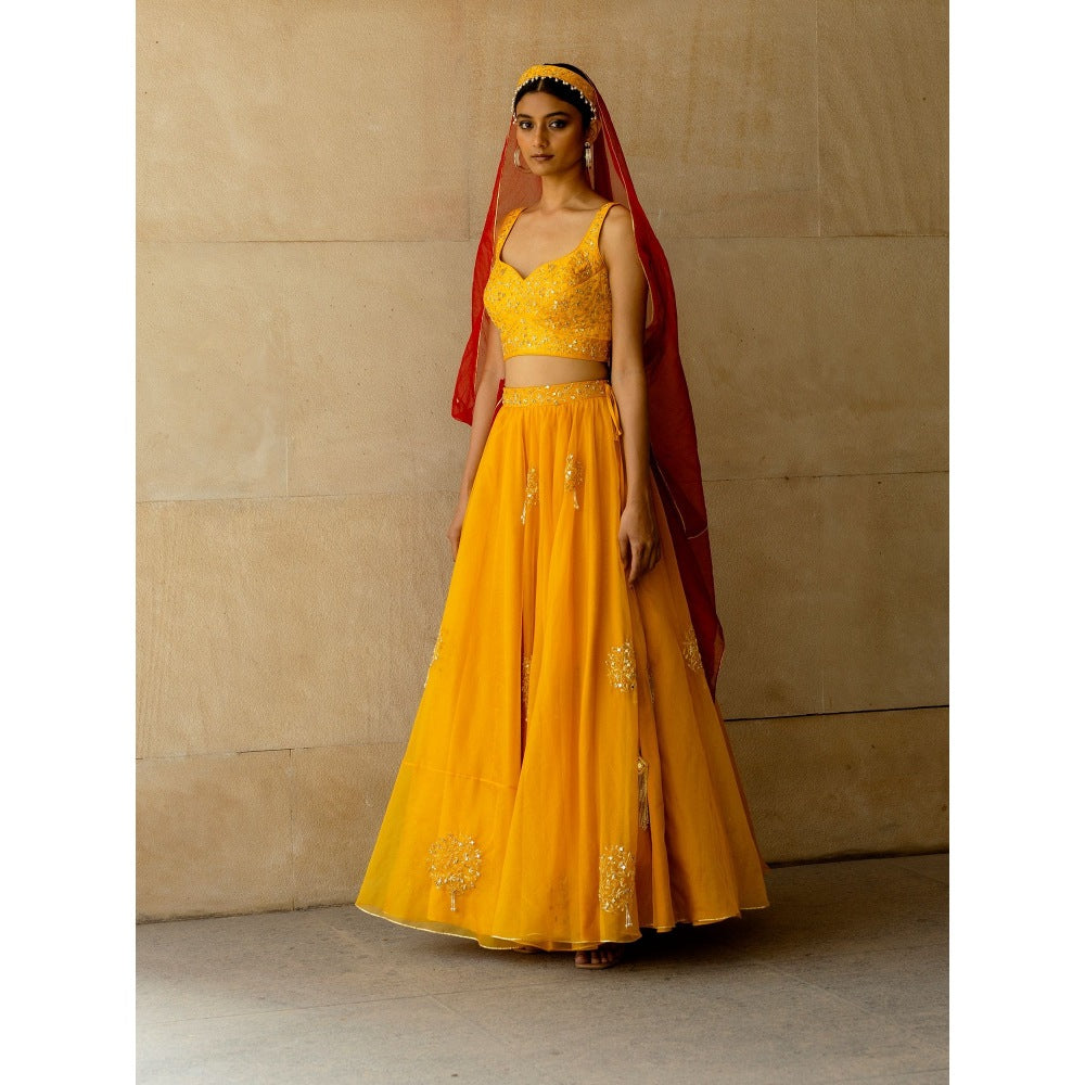 Asaga Mustard Embroidered Stitched Blouse- Lehenga Paired with Dupatta and Belt (Set of 4)