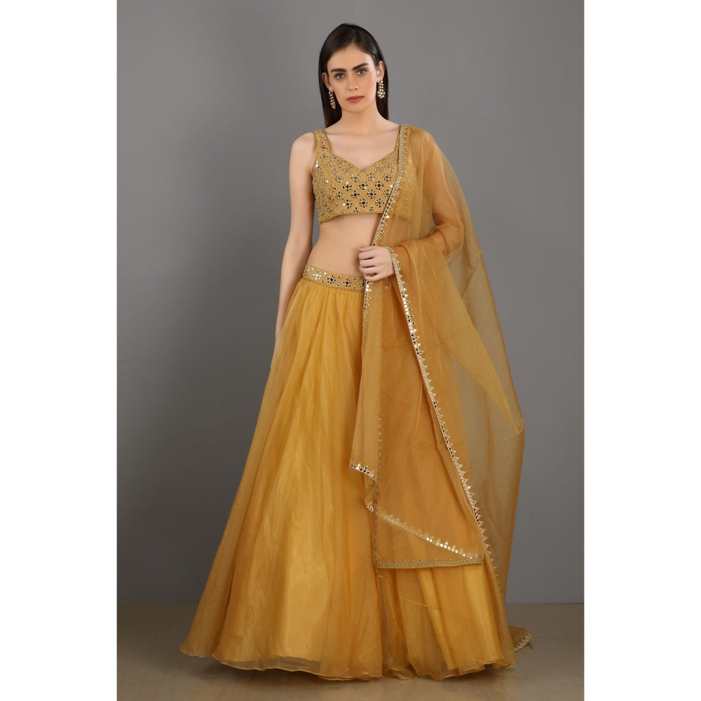 Asaga Gold Embroidered Stitched Blouse- Lehenga Paired with Organza Dupatta (Set of 3)