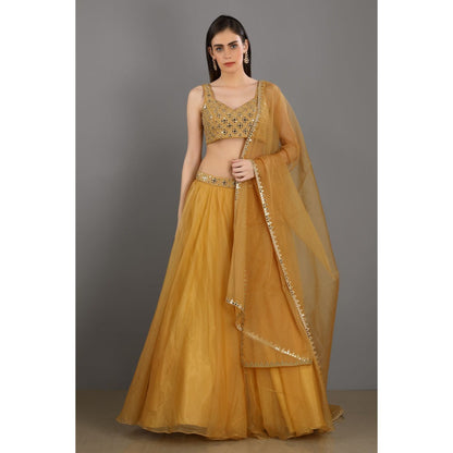 Asaga Gold Embroidered Stitched Blouse- Lehenga Paired with Organza Dupatta (Set of 3)
