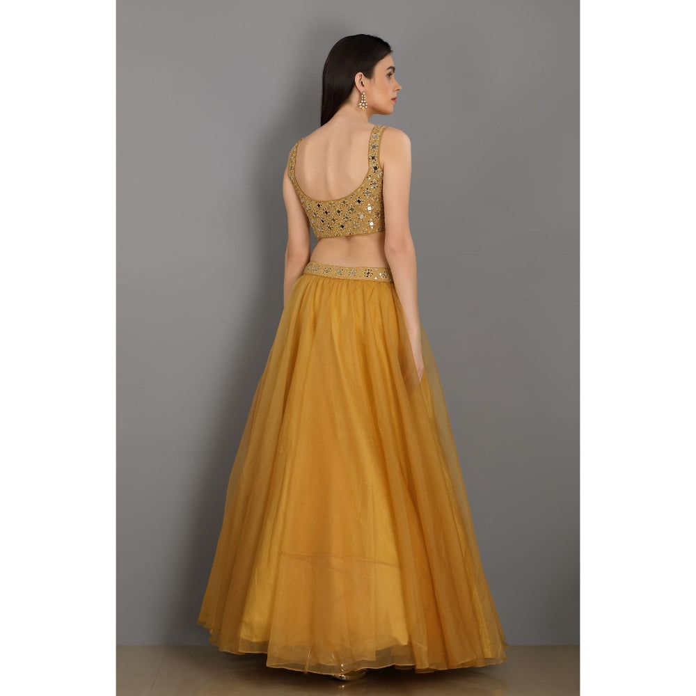 Asaga Gold Embroidered Stitched Blouse- Lehenga Paired with Organza Dupatta (Set of 3)