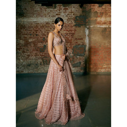 Asaga Rose Gold Swarm Lehenga with Blouse and Dupatta (Set of 3)