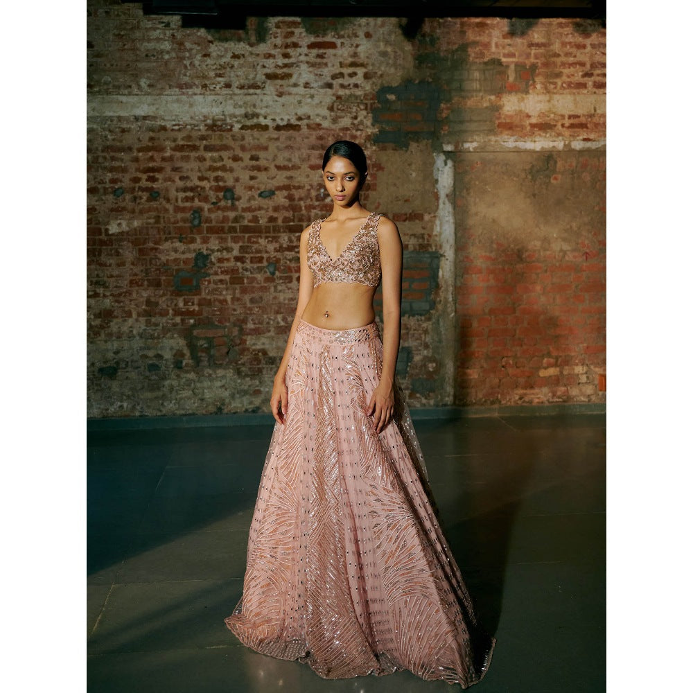 Asaga Rose Gold Swarm Lehenga with Blouse and Dupatta (Set of 3)