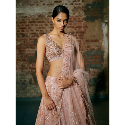 Asaga Rose Gold Swarm Lehenga with Blouse and Dupatta (Set of 3)