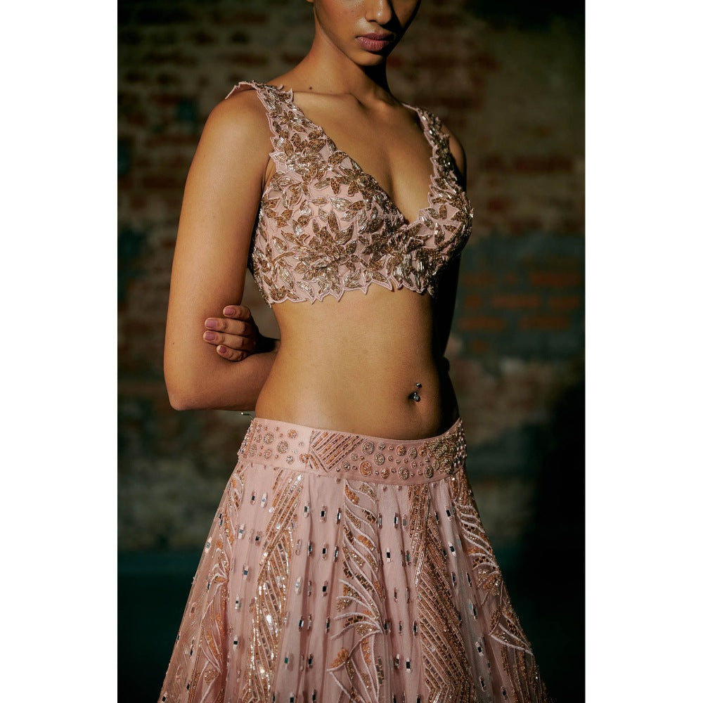 Asaga Rose Gold Swarm Lehenga with Blouse and Dupatta (Set of 3)