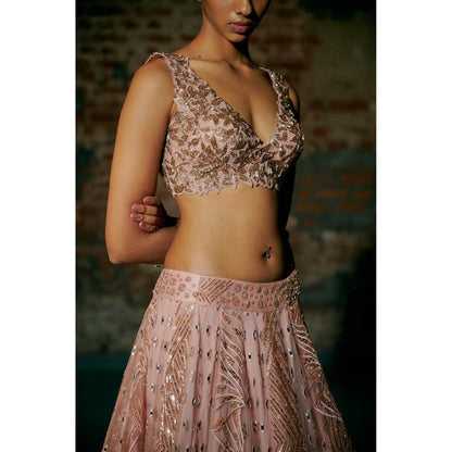 Asaga Rose Gold Swarm Lehenga with Blouse and Dupatta (Set of 3)