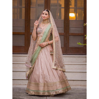 AVNNI KAPUR Banarsi Gota Patti Lehenga with Choli and Sequience Work Dupatta (Set of 4)