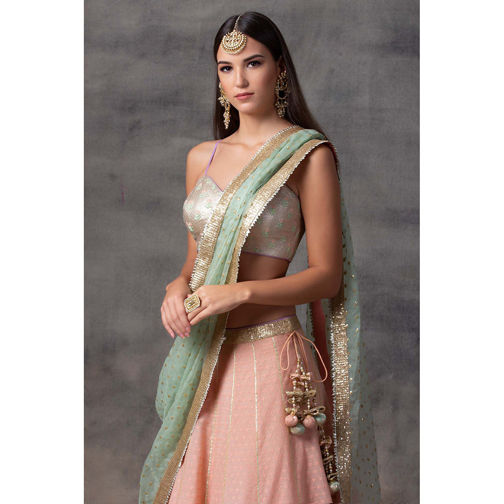 AVNNI KAPUR Peach Lehenga with Bottom Hem, Paired with Choli with Organza Dupatta (Set of 3)