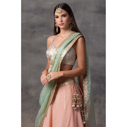 AVNNI KAPUR Peach Lehenga with Bottom Hem, Paired with Choli with Organza Dupatta (Set of 3)