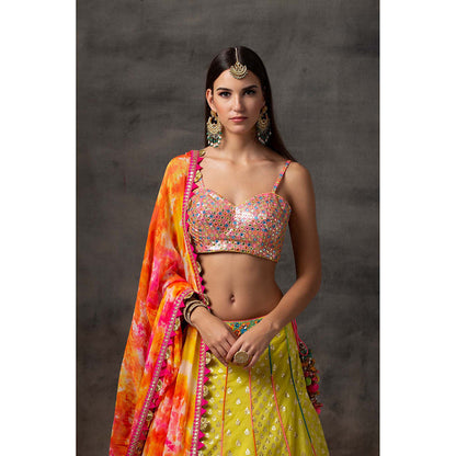 AVNNI KAPUR Yellow Lehenga with Rainbow Mirror Work Choli with Tie and Dye Dupatta (Set of 3)