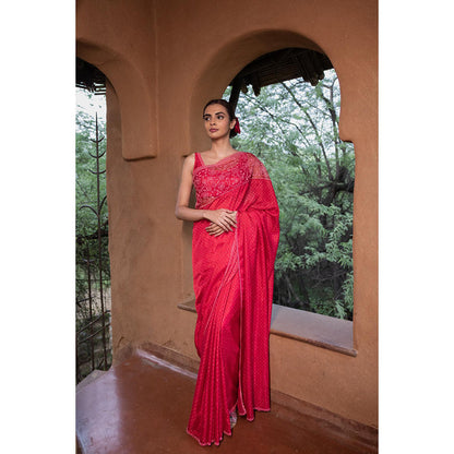 AYAKA Floral Red Hand Embroidered Saree without Blouse