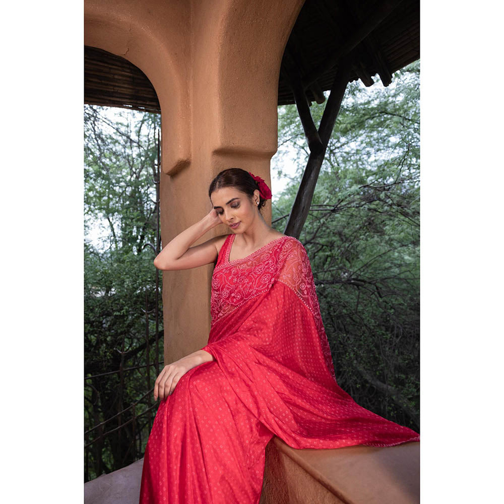 AYAKA Floral Red Hand Embroidered Saree without Blouse