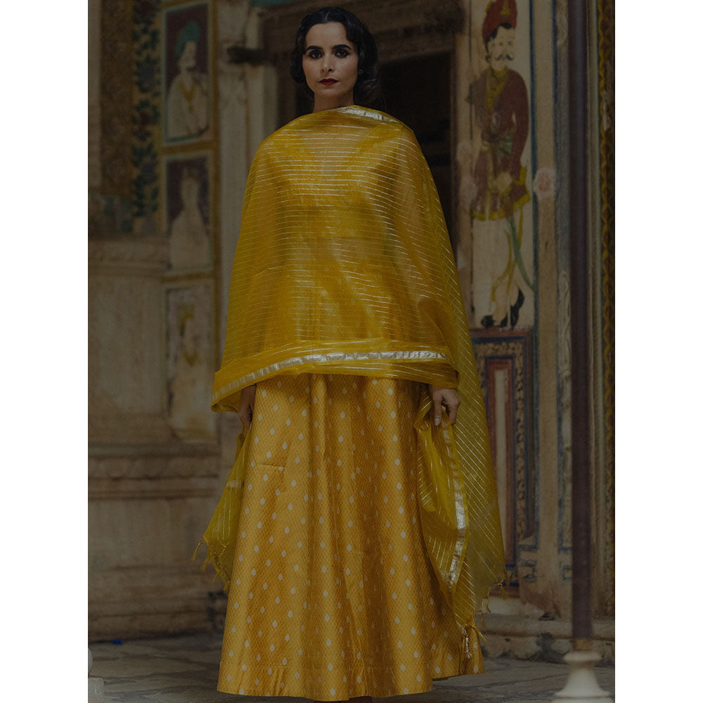 Baaro Masi Yellow Brocade Lehnga with Organza Dupatta (Set of 3)