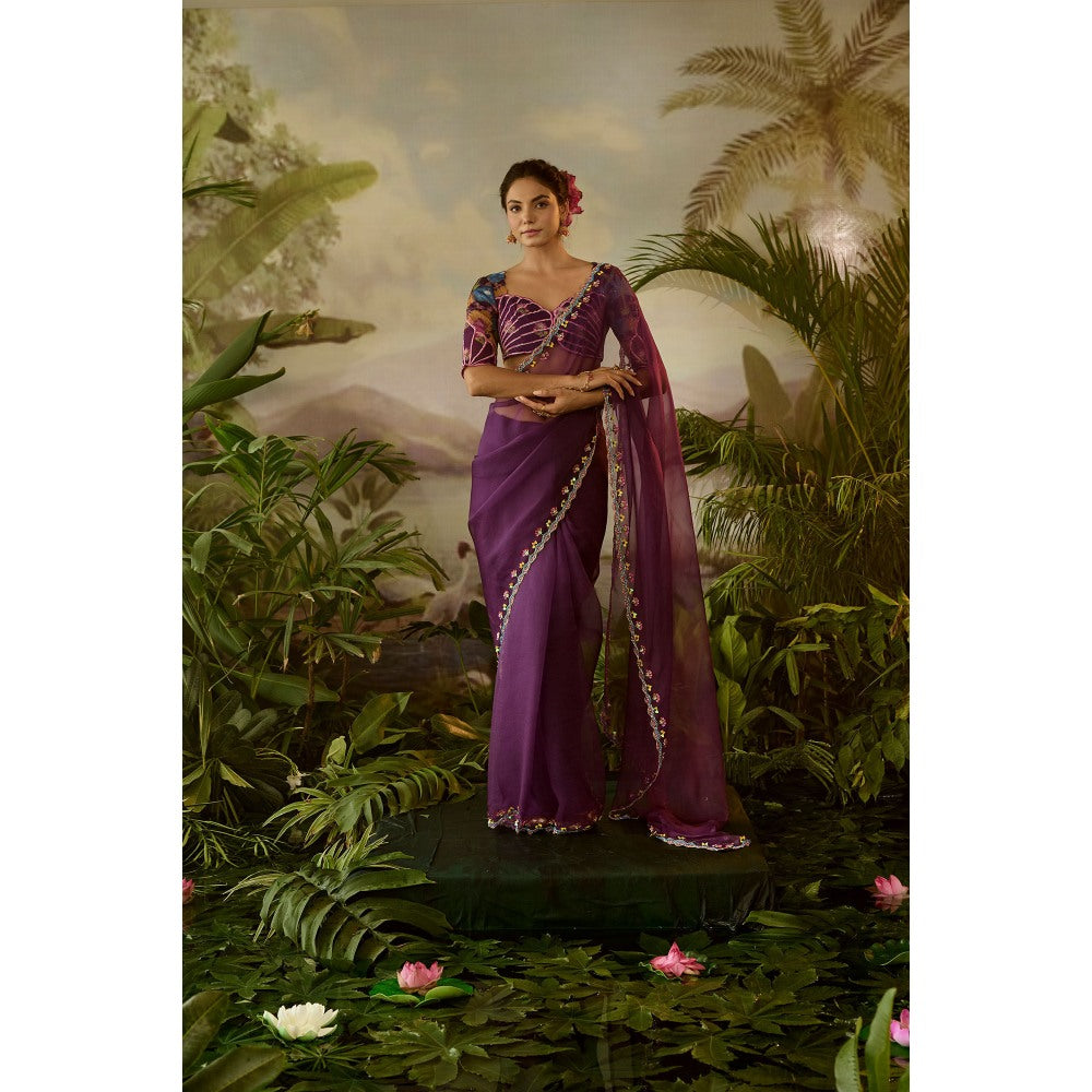 Baise Gaba Gopi Pre-Draped Saree with Stitched Blouse