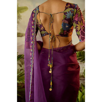 Baise Gaba Gopi Pre-Draped Saree with Stitched Blouse