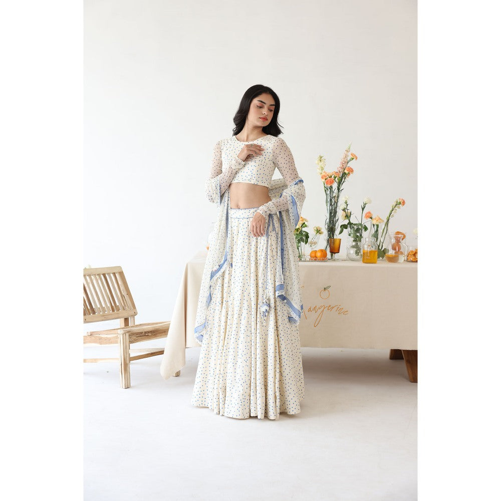 Baise Gaba Petal Lehenga Top with Dupatta (Set of 3)