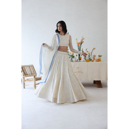 Baise Gaba Petal Lehenga Top with Dupatta (Set of 3)