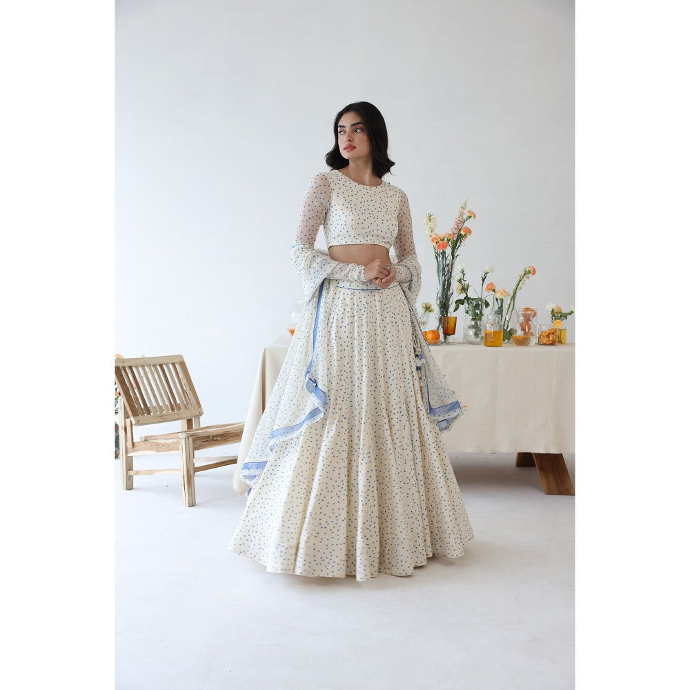 Baise Gaba Petal Lehenga