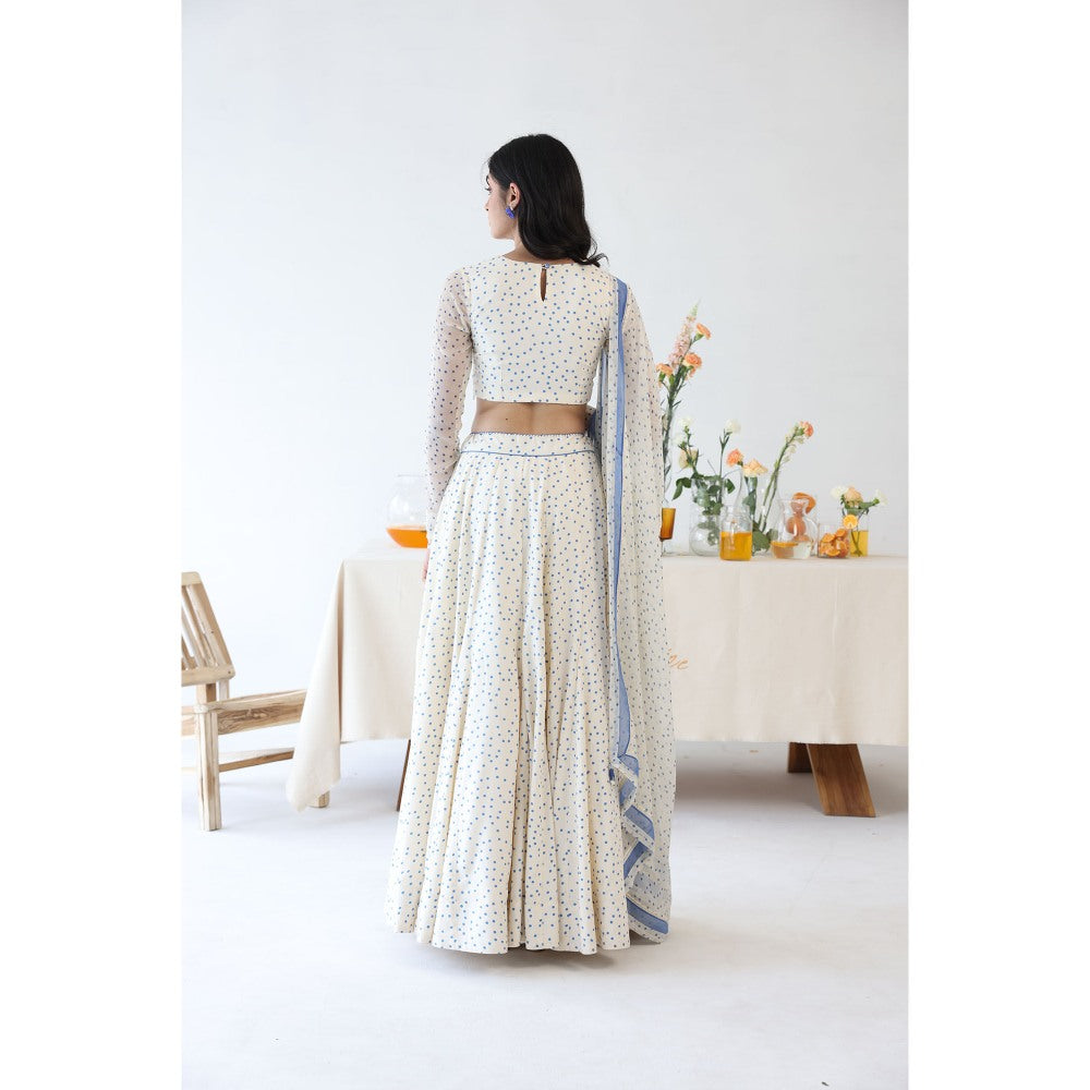 Baise Gaba Petal Lehenga