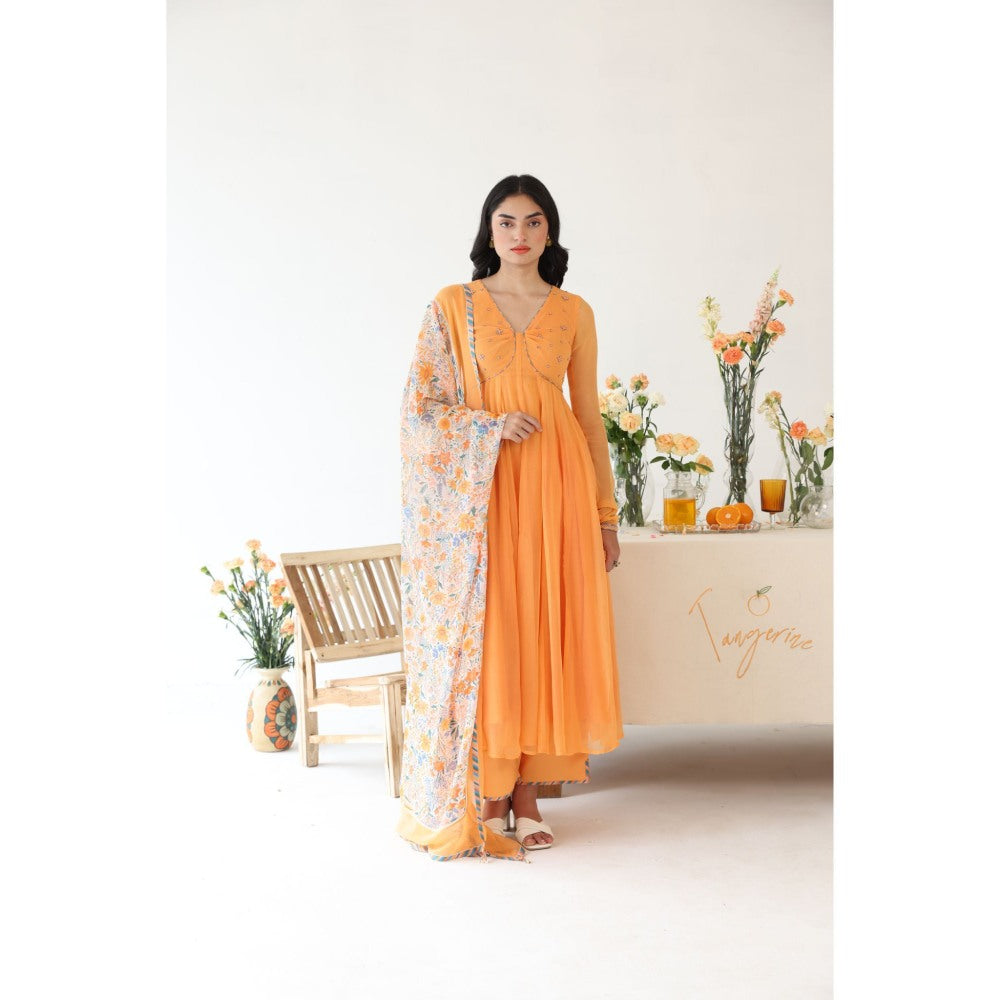 Baise Gaba Zesty Hand Embroidery Anarkali Kurta with Pant & Dupatta (Set of 3)
