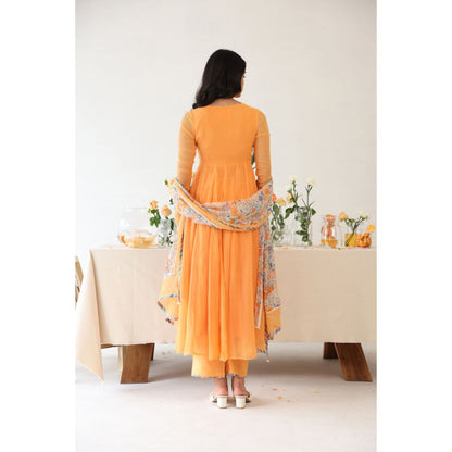 Baise Gaba Orange Solid Zesty Pant