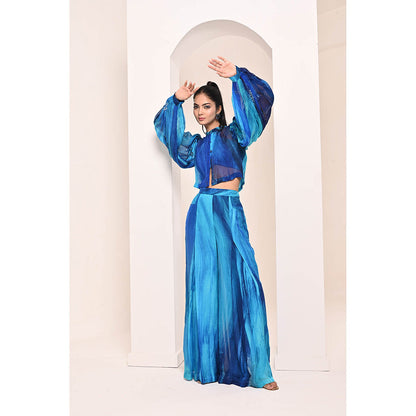 Bani Khurana Blue Printed Embroidered Co-Ord (Set of 2)