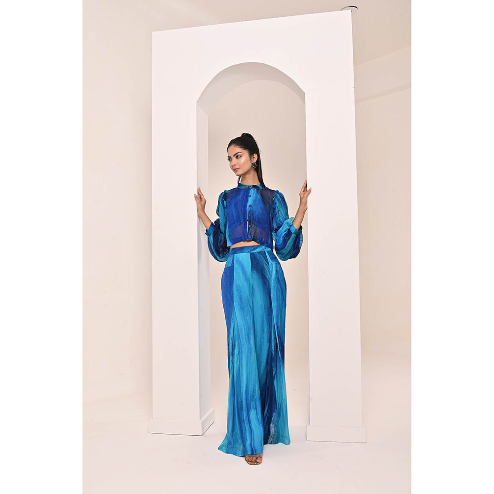 Bani Khurana Blue Printed Embroidered Co-Ord (Set of 2)