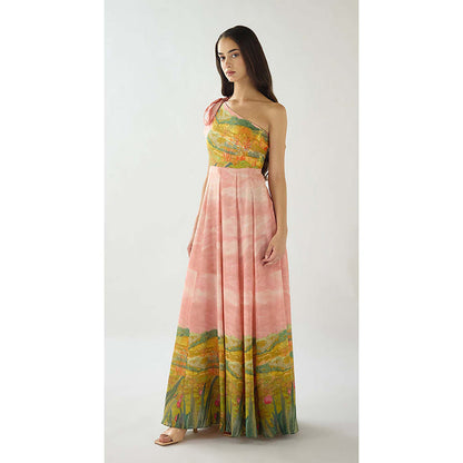 Basanti Kapde aur Koffee Blush Meadow Muslin Maxi Dress