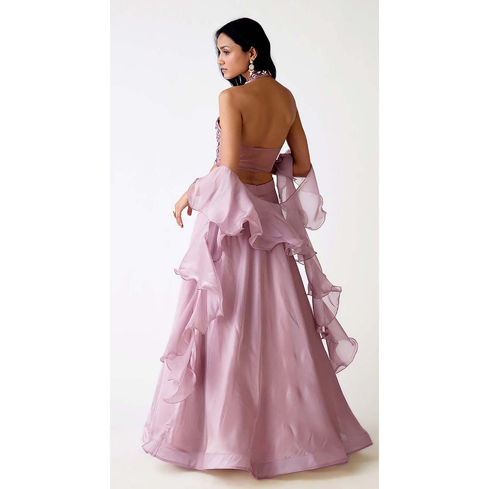 Basanti Kapde aur Koffee Mauve Organza Embroidered Lehenga with Blouse and Dupatta