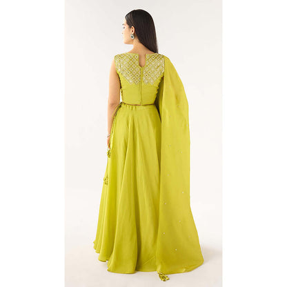 Basanti Kapde aur Koffee Lime Tissue Embroidered Lehenga with Blouse and Dupatta