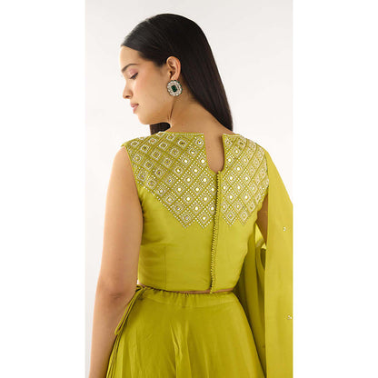 Basanti Kapde aur Koffee Lime Tissue Embroidered Lehenga with Blouse and Dupatta