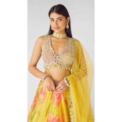 Basanti Kapde aur Koffee The Wild Marigold Lehenga with Blouse and Dupatta