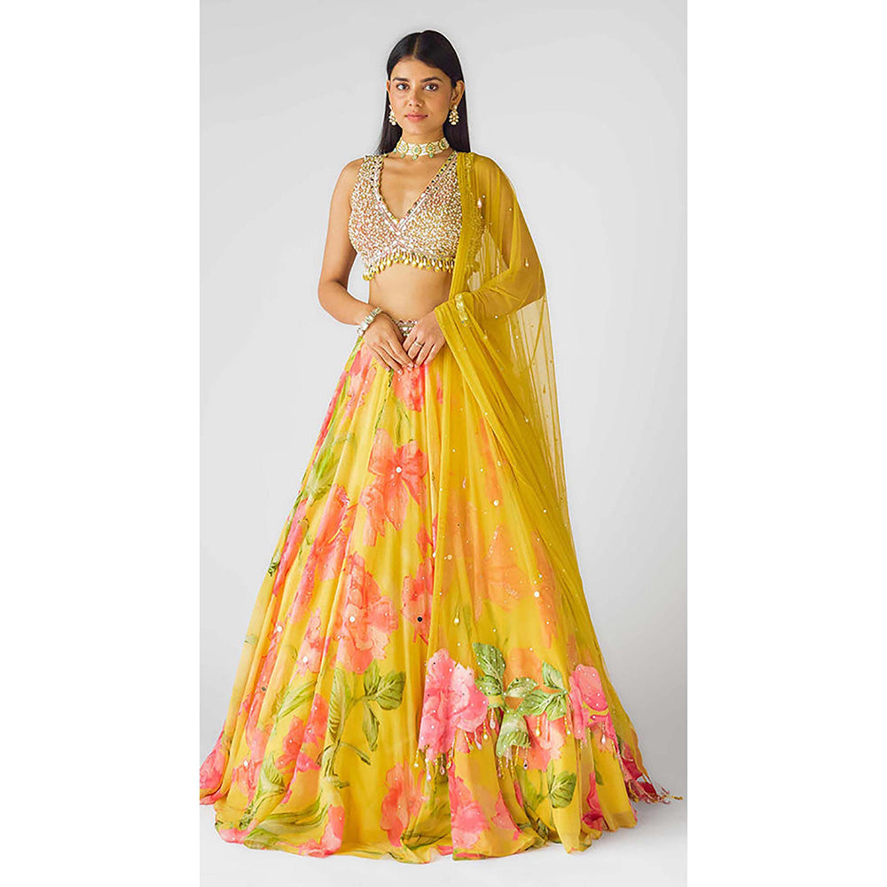 Basanti Kapde aur Koffee The Wild Marigold Lehenga with Blouse and Dupatta
