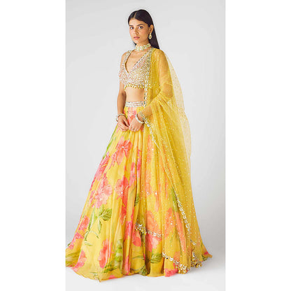Basanti Kapde aur Koffee The Wild Marigold Lehenga with Blouse and Dupatta