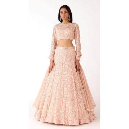 Basanti Kapde aur Koffee Peach Chantilly Net Embroidered Lehenga with Blouse and Dupatta