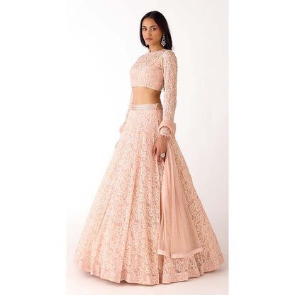 Basanti Kapde aur Koffee Peach Chantilly Net Embroidered Lehenga with Blouse and Dupatta