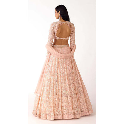 Basanti Kapde aur Koffee Peach Chantilly Net Embroidered Lehenga with Blouse and Dupatta