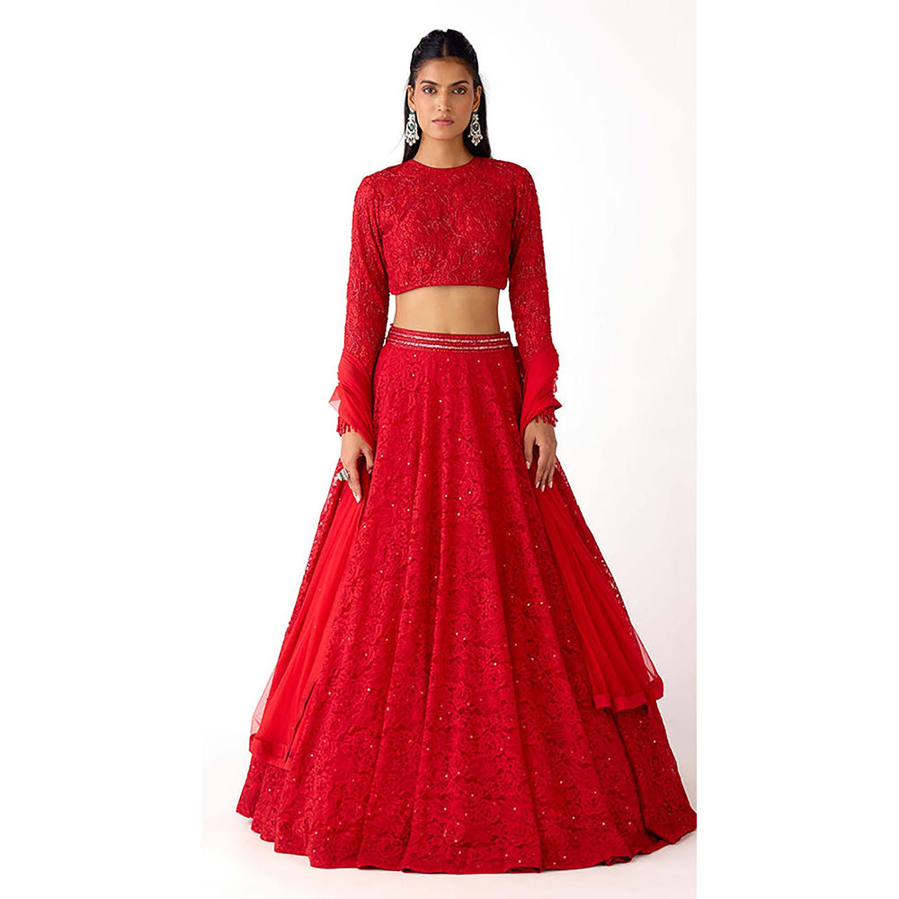 Basanti Kapde aur Koffee Red Chantilly Net Embroidered Lehenga with Blouse and Dupatta