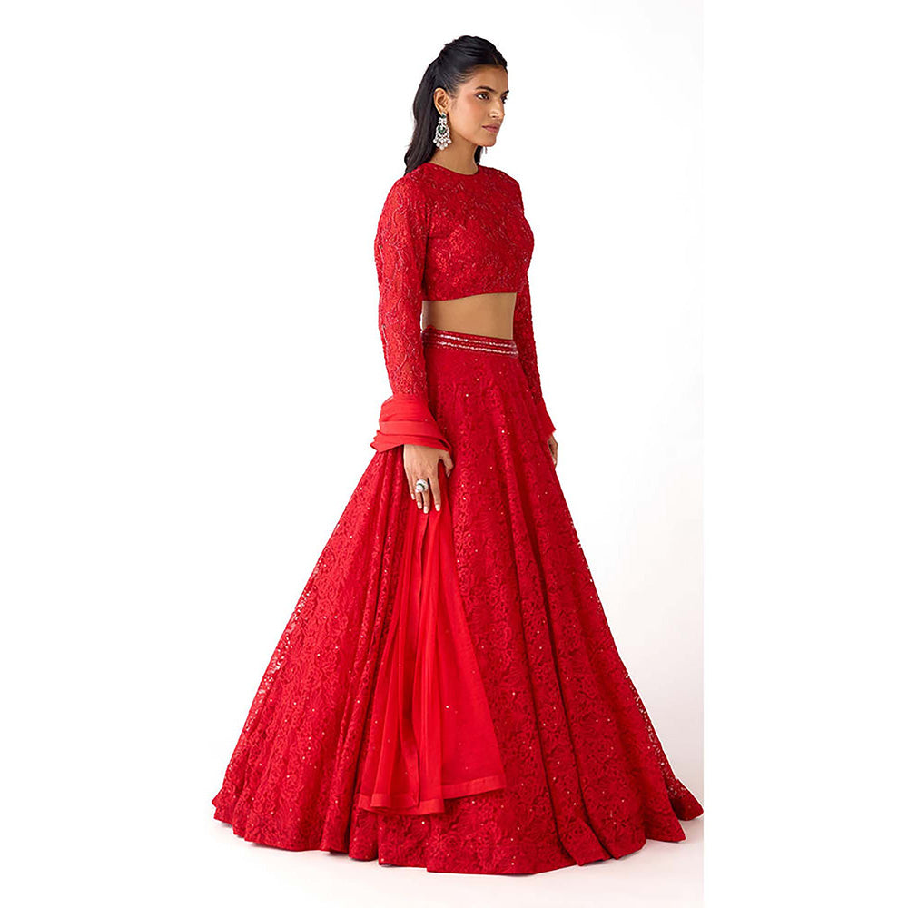 Basanti Kapde aur Koffee Red Chantilly Net Embroidered Lehenga with Blouse and Dupatta