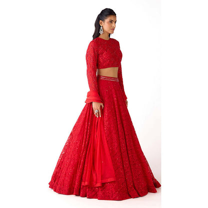 Basanti Kapde aur Koffee Red Chantilly Net Embroidered Lehenga with Blouse and Dupatta