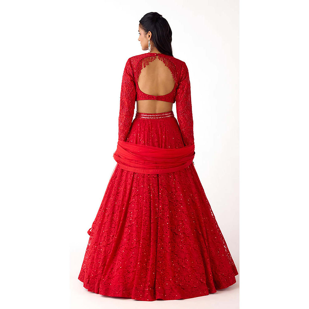 Basanti Kapde aur Koffee Red Chantilly Net Embroidered Lehenga with Blouse and Dupatta