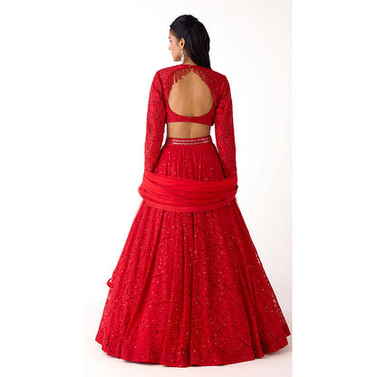 Basanti Kapde aur Koffee Red Chantilly Net Embroidered Lehenga with Blouse and Dupatta