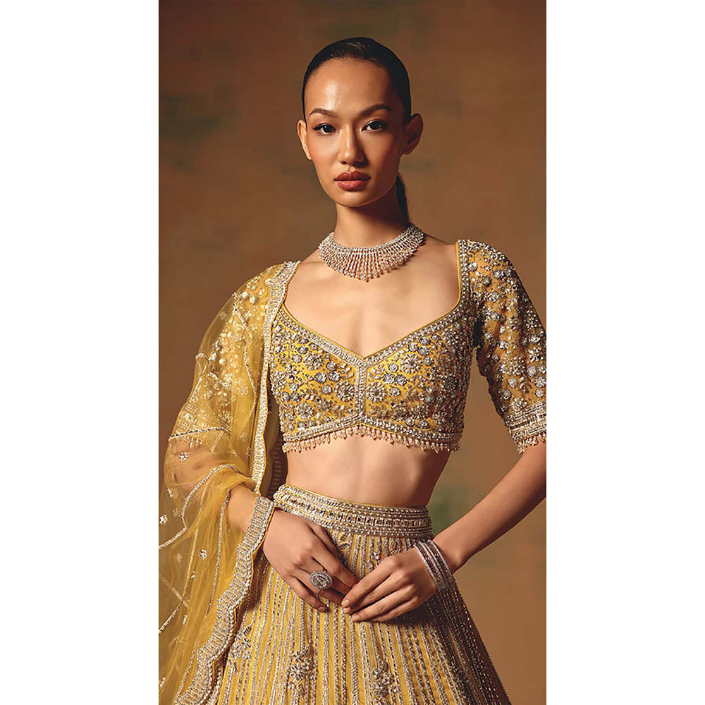 Basanti Kapde aur Koffee The Glint Of Sunshine Lehenga with Blouse and Dupatta
