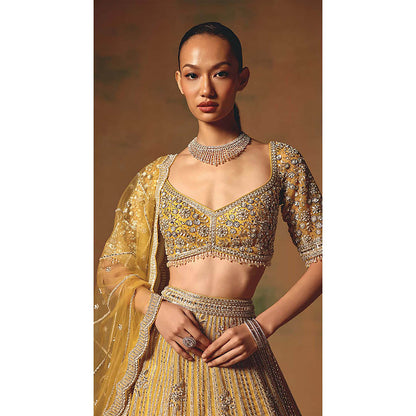 Basanti Kapde aur Koffee The Glint Of Sunshine Lehenga with Blouse and Dupatta