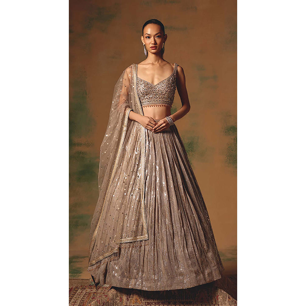Basanti Kapde aur Koffee The Champagne Glow Lehenga with Blouse and Dupatta
