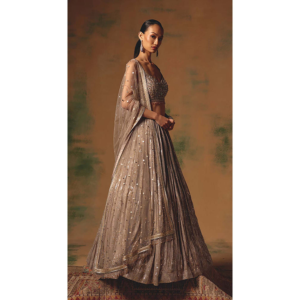 Basanti Kapde aur Koffee The Champagne Glow Lehenga with Blouse and Dupatta